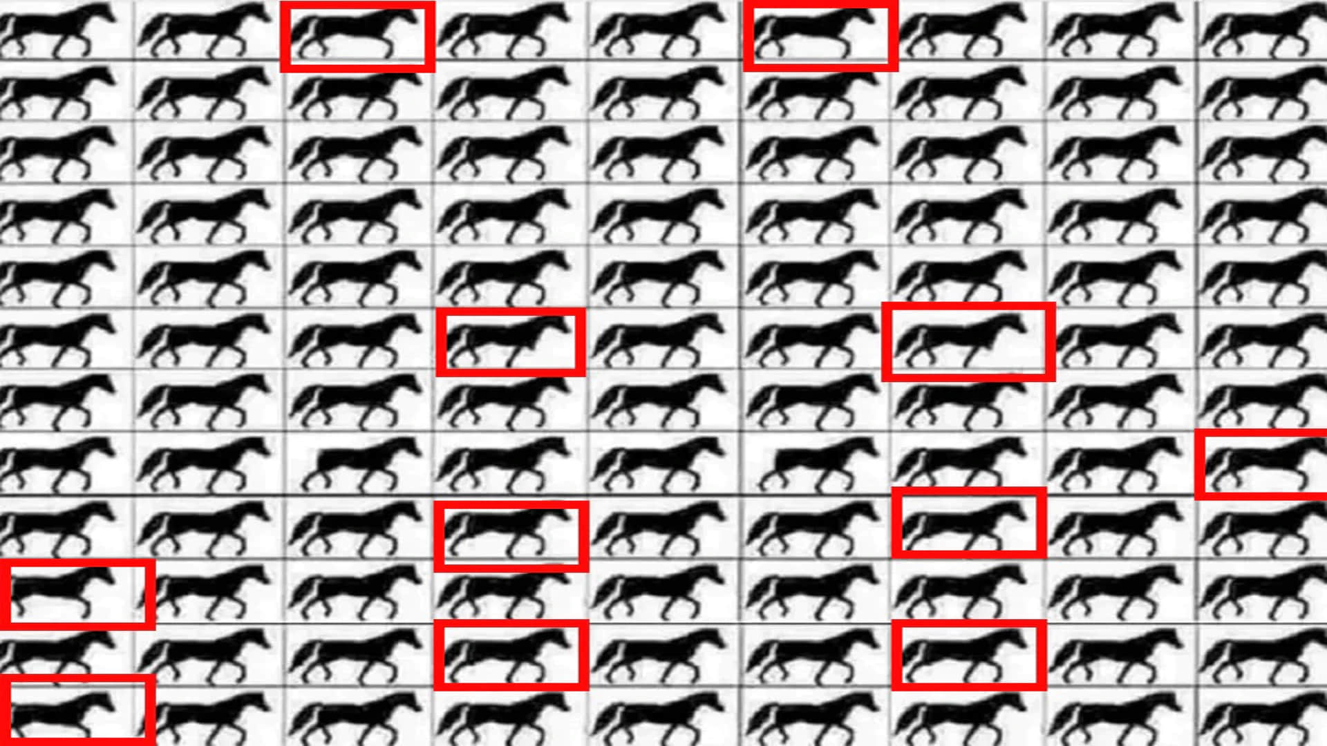 Optical Illusion viral photo spot horses with 3 legs in 20 seconds brain teaser photo puzzle