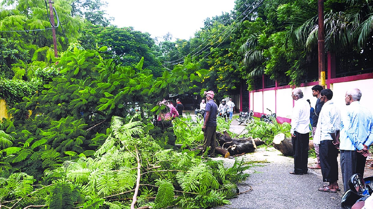 Torrential rain wreaked havoc, houses collapsed, two people died