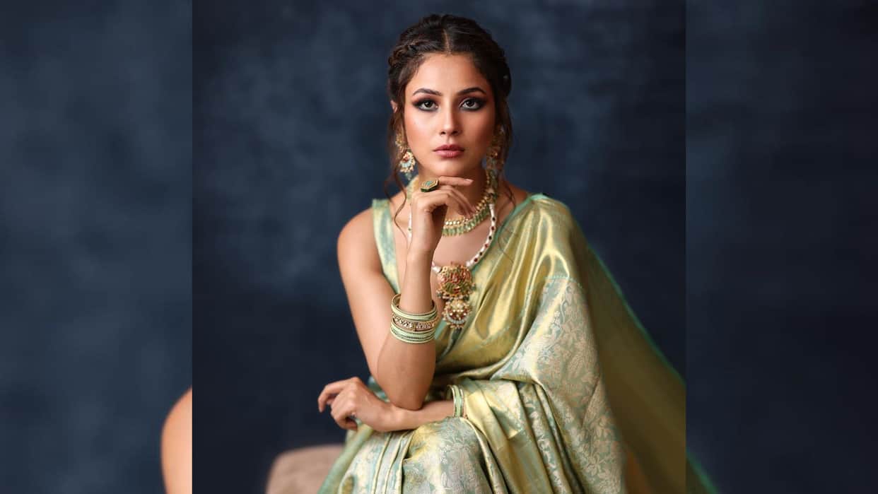 Shehnaaz Gill: Kisi Ka Bhai Kisi Ki Jaan actress to be seen in Rhea Kapoor next film she did good work in it