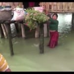 असम के धेमाजी जिले के कई गांव डूब की चपेट में आ गए