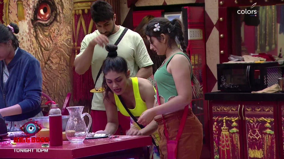 BB 16: Bigg Boss house divided between TV actors and non-TV actors says sajid khan