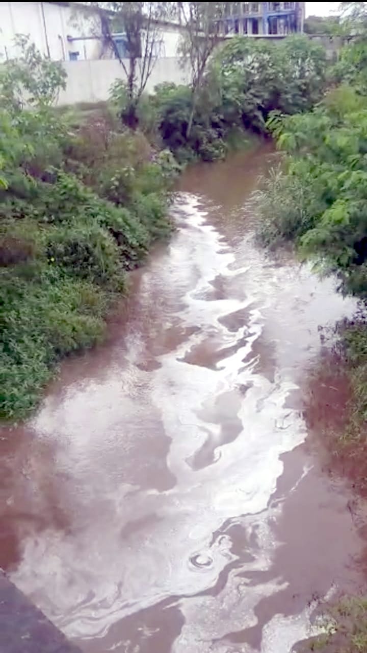 Polluted water left in Chhoia river
