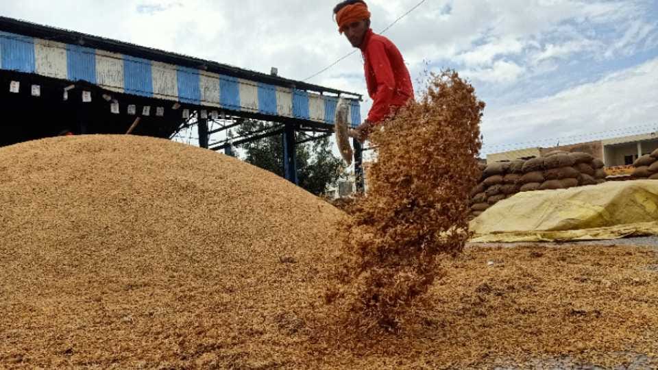 Exclusive: More than four thousand MGNREGA labourers decreased due to online attendance in Kanpur