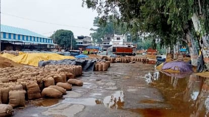 10 lakh metric tonnes of paddy soaked in the mandis of Haryana