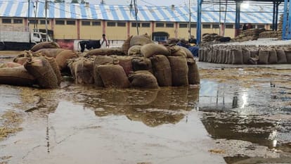 10 lakh metric tonnes of paddy soaked in the mandis of Haryana