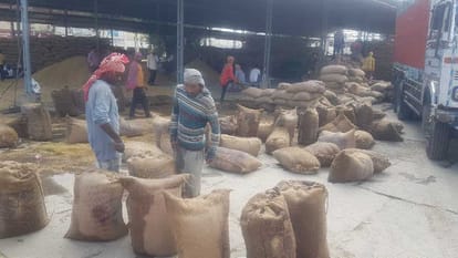 10 lakh metric tonnes of paddy soaked in the mandis of Haryana