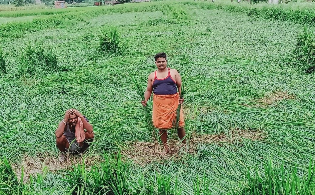 Somewhere the houses fell, somewhere the damage to the crops
