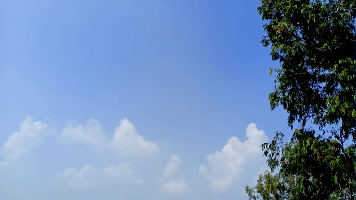 Weather: Sunny day after Fog in morning, weather will be clear from today, 40 percent loss to paddy-vegetable