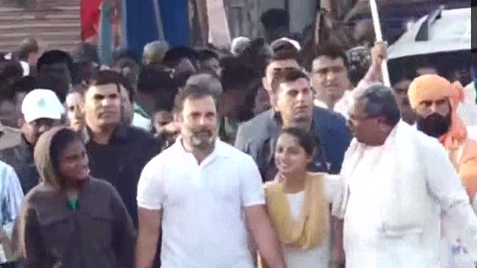 - Congress Leader Rahul Gandhi Bharat Jodo Yatra Continue in  Chitradurga Karnataka Read More in Hindi