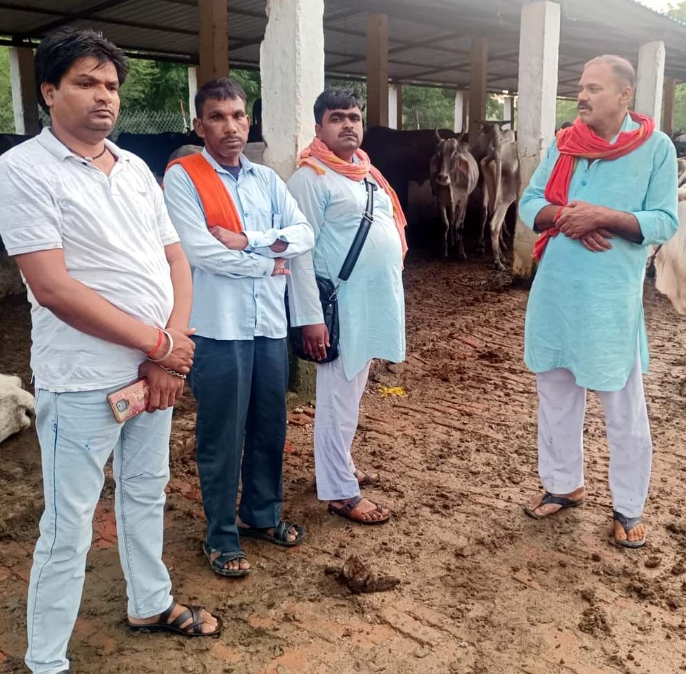 Kanpur Dehat: Death of cattle protected in Turkimau Gaushala, three sick, accused of not giving proper fodder
