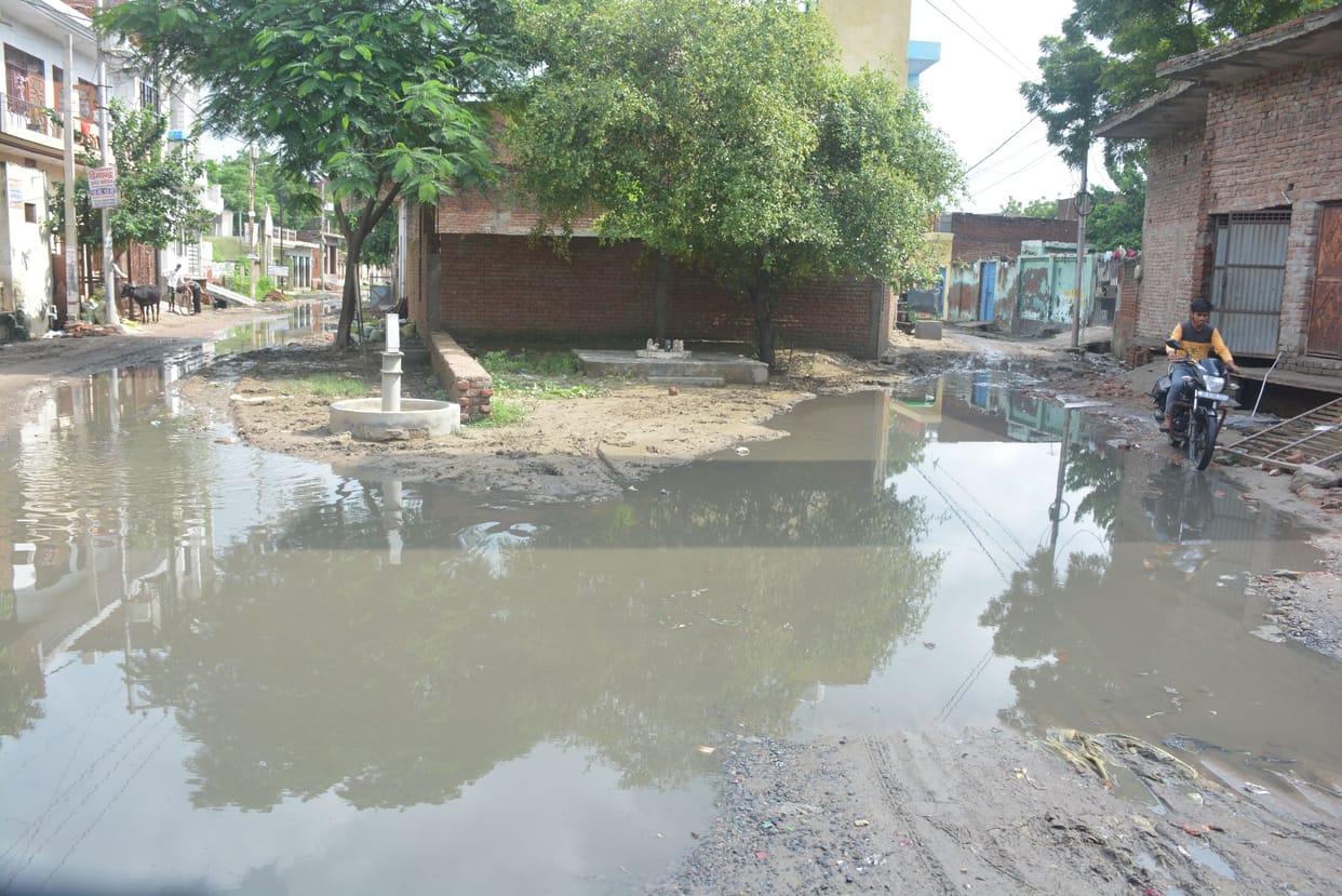 Relief from waterlogging, but mud-mosquitoes become a disaster