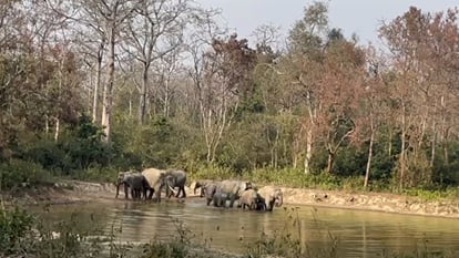 Tourism in Amangarh from November 15, preparations intensified