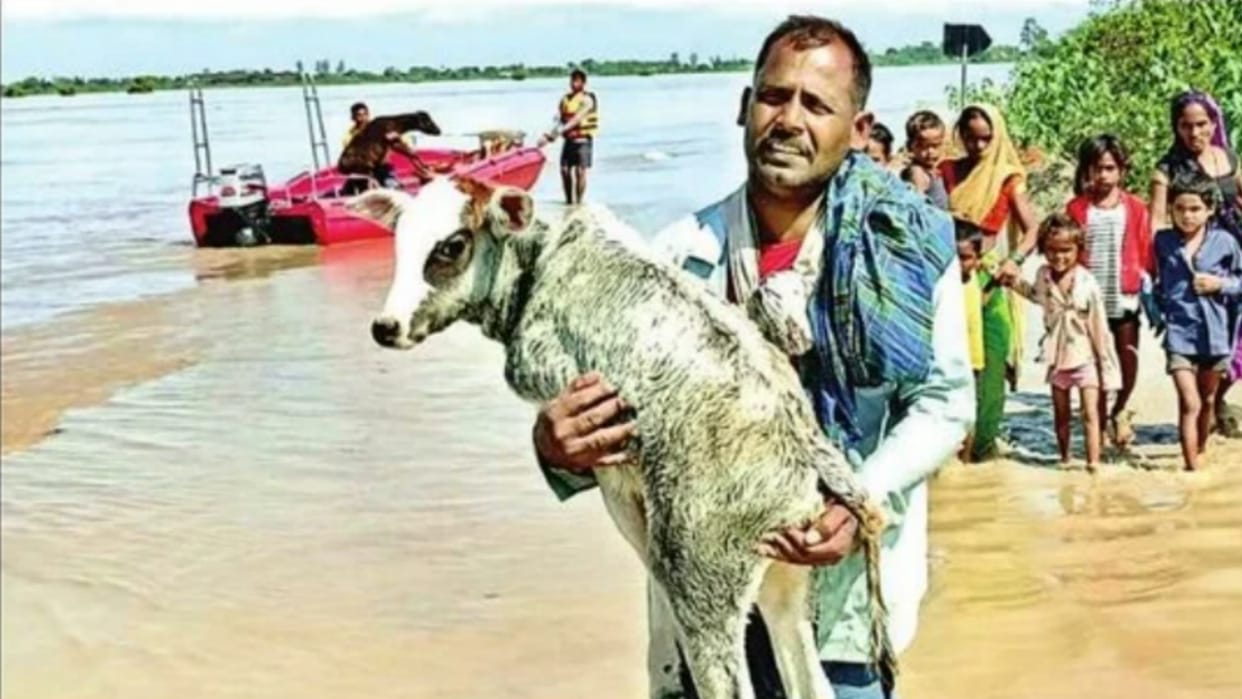 Water filled in the stove, people went to bed hungry, DM said, Zomato service is not running