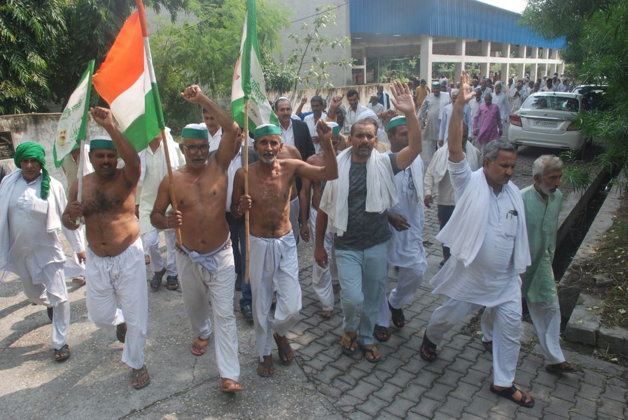 Farmers demonstrated semi-nude in the collectorate