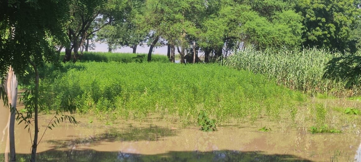 The increase in the water level of Saryu continues, the water reached the new area