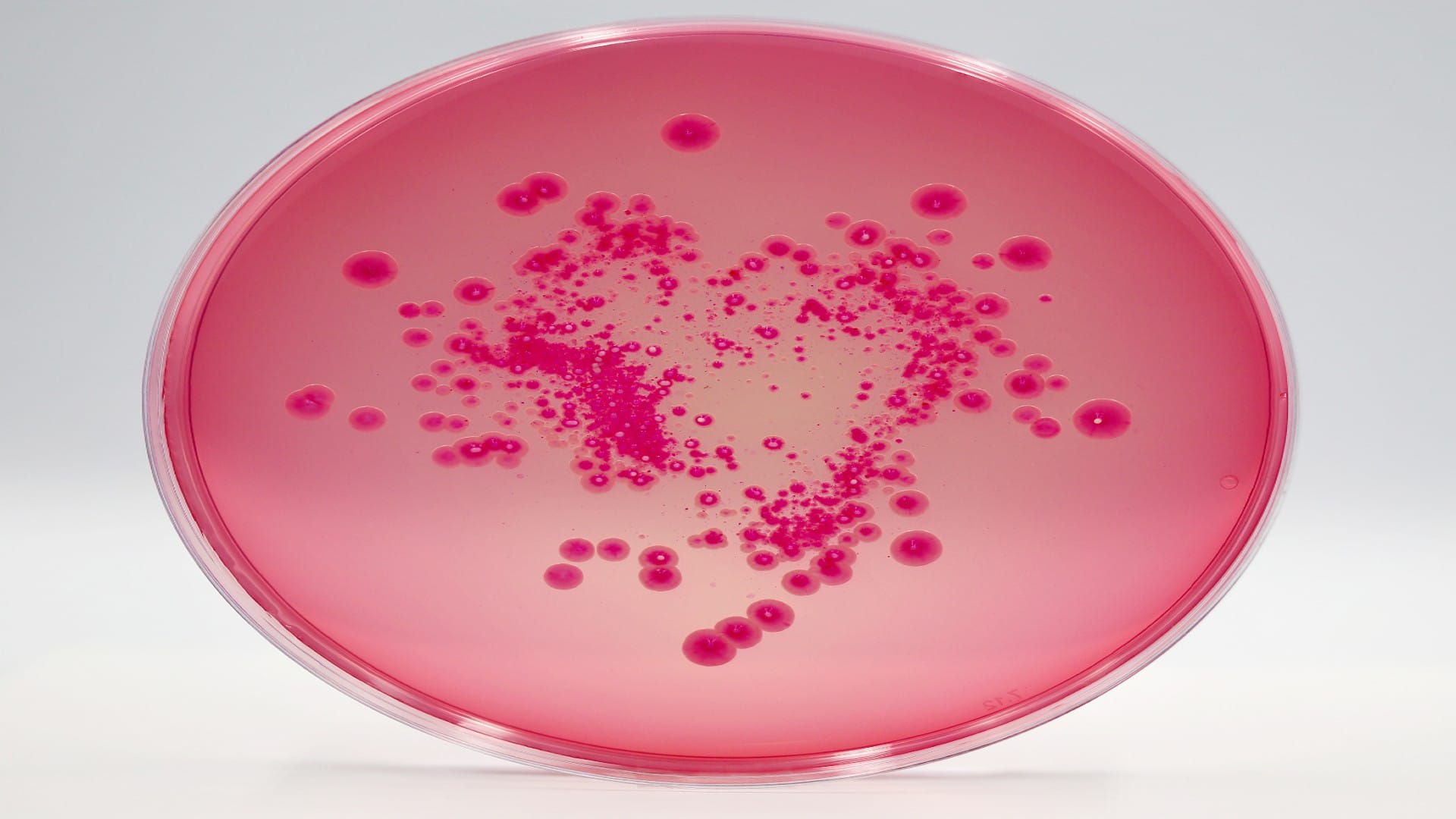 latest study found microplastics in breast milk, it may be very harmful for human health know its side effects