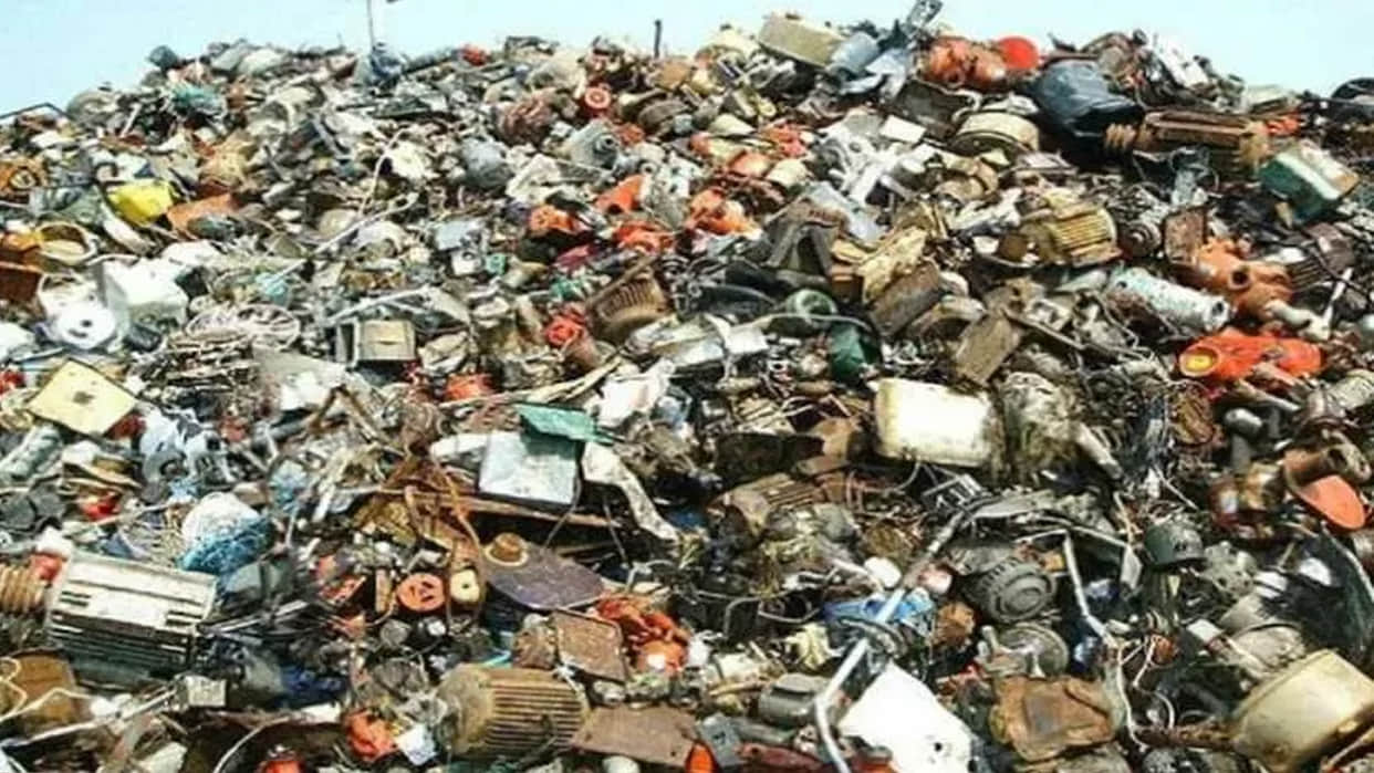 Optical Illusion Can you spot a cat in this picture in half a minute google trandes Quiz Game puzzle