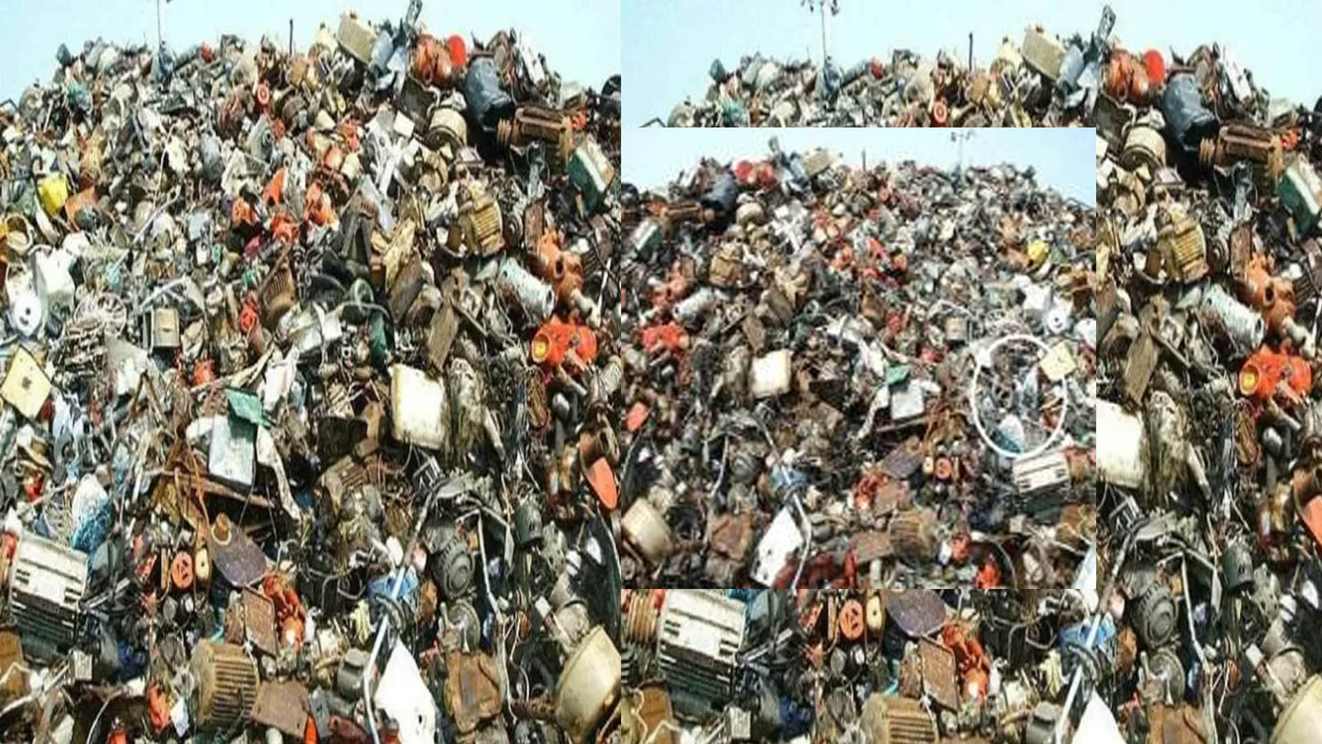 Optical Illusion Can you spot a cat in this picture in half a minute google trandes Quiz Game puzzle