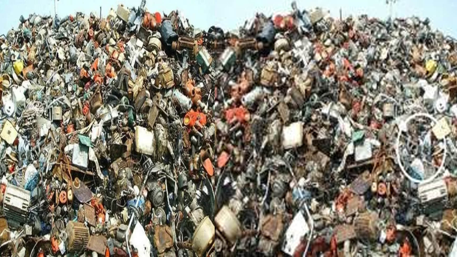 Optical Illusion Can you spot a cat in this picture in half a minute google trandes Quiz Game puzzle