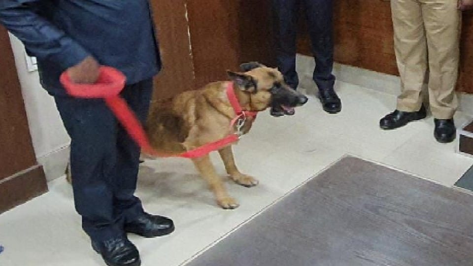 SP salute the sniffer dog who revealed the murder of minor in kasganj