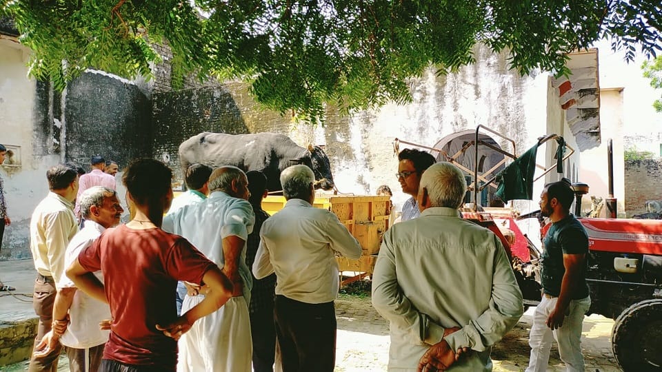 Bull caught after 3 hours of hard work in agra