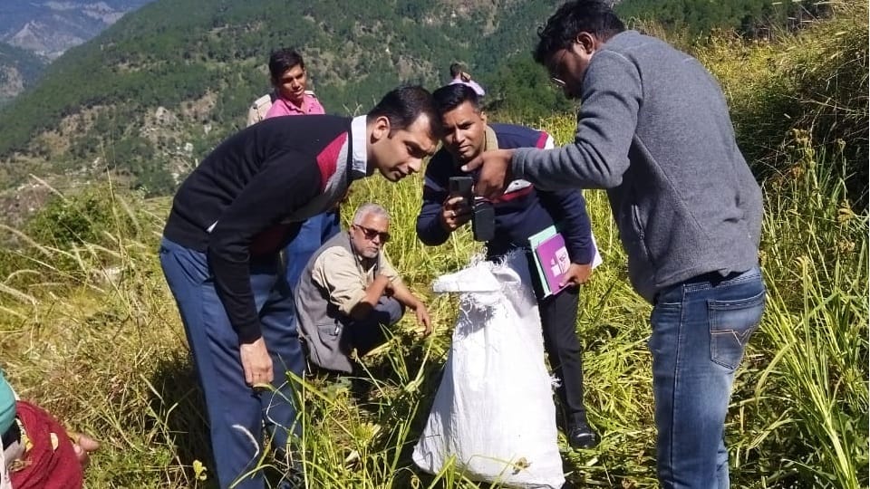 Uttarakhand News: Uttarkashi DM Abhishek ruhela cuted mandua crop in feild Photos