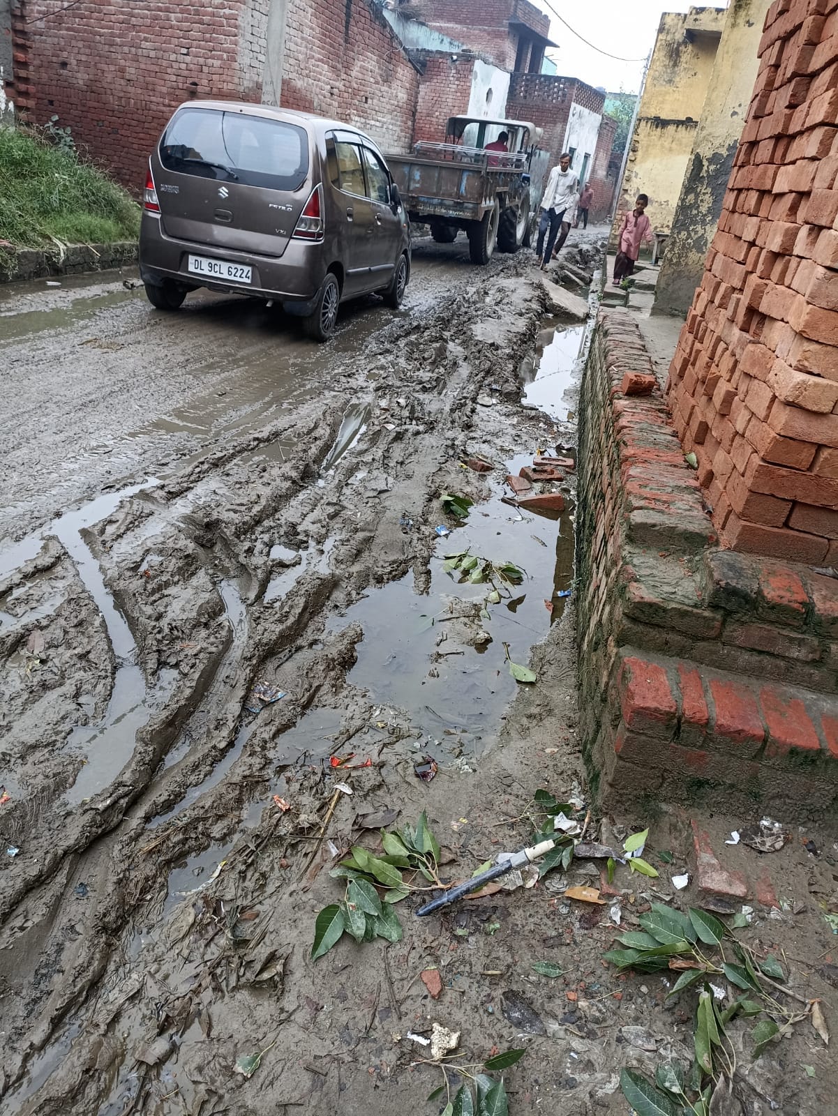 tigri mela