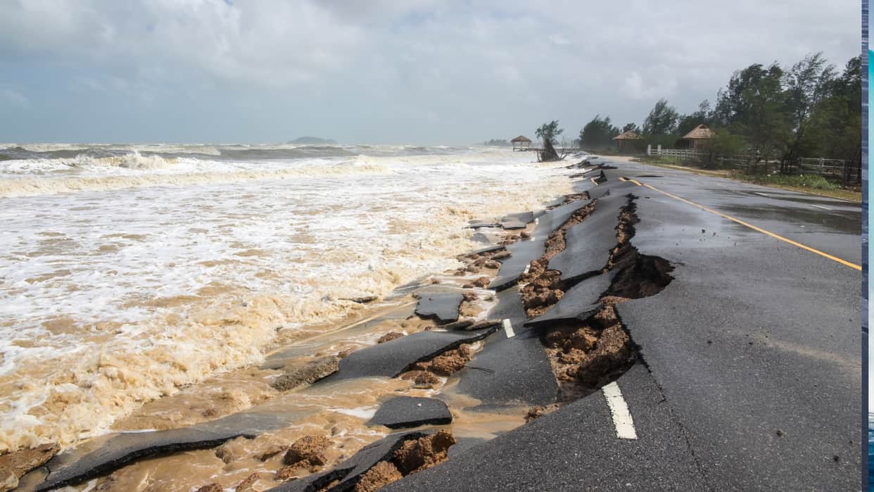 Dead Marine Organisms May Cause Major Earthquake in Sea Found in New Discovery