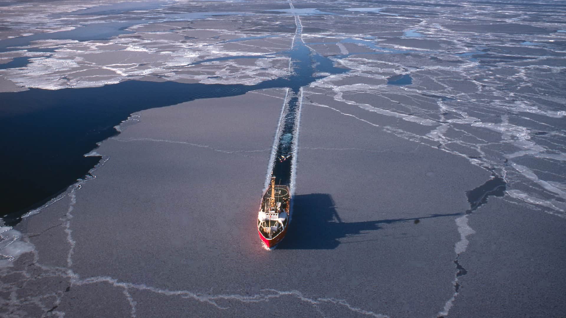 Dead Marine Organisms May Cause Major Earthquake in Sea Found in New Discovery