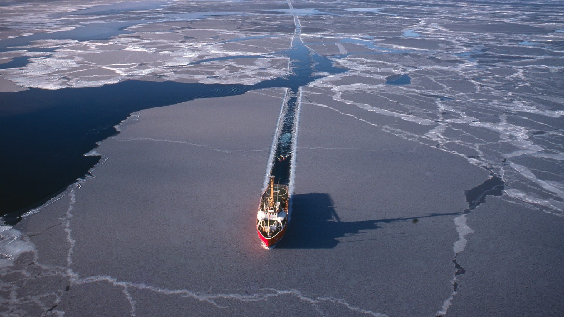 Dead Marine Organisms May Cause Major Earthquake in Sea Found in New Discovery