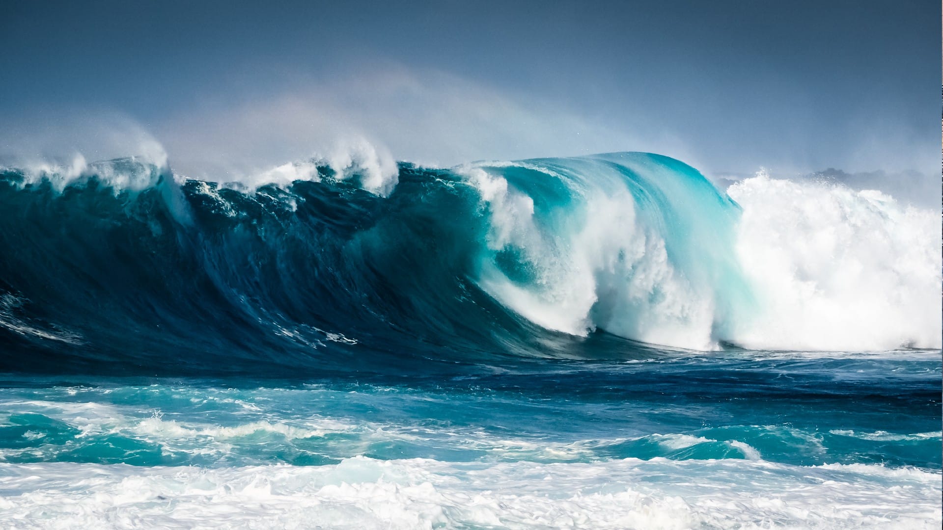 Dead Marine Organisms May Cause Major Earthquake in Sea Found in New Discovery