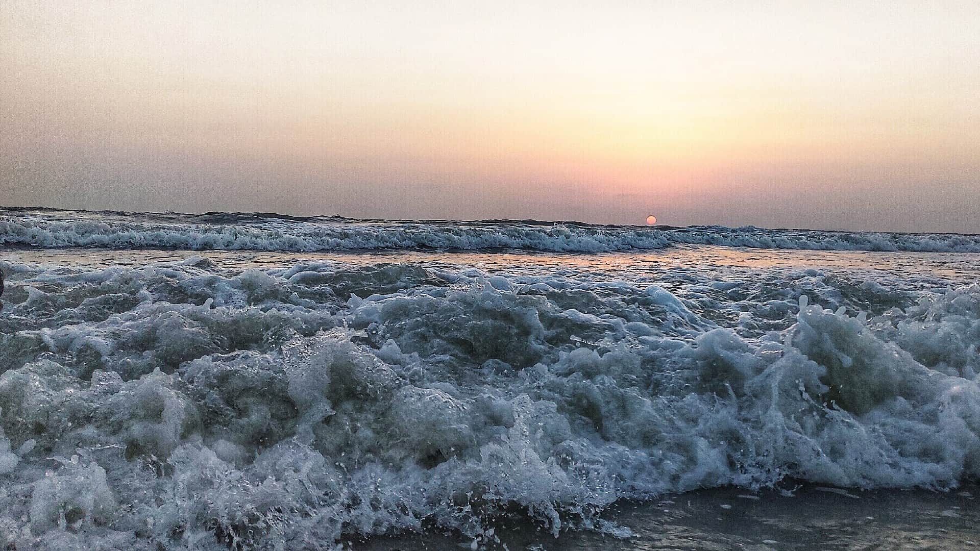Dead Marine Organisms May Cause Major Earthquake in Sea Found in New Discovery