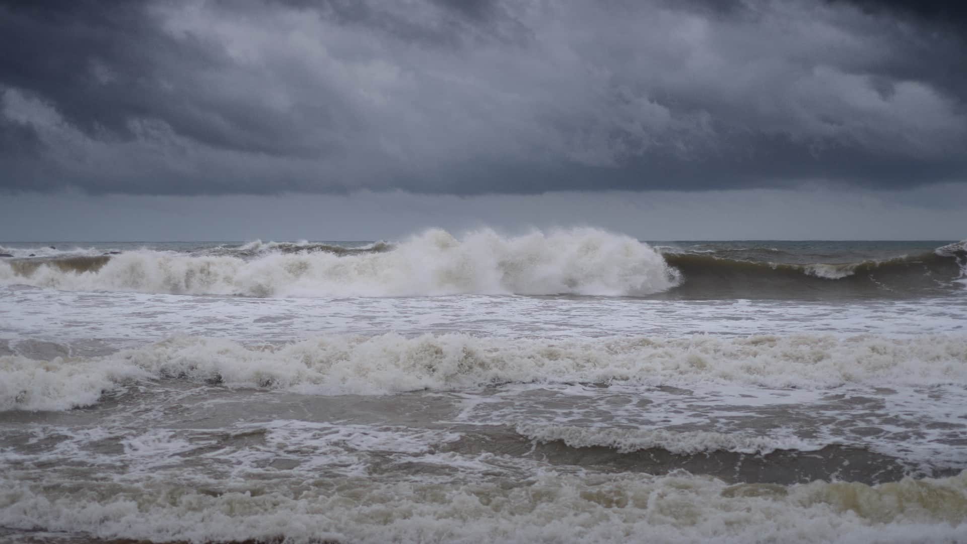 Dead Marine Organisms May Cause Major Earthquake in Sea Found in New Discovery