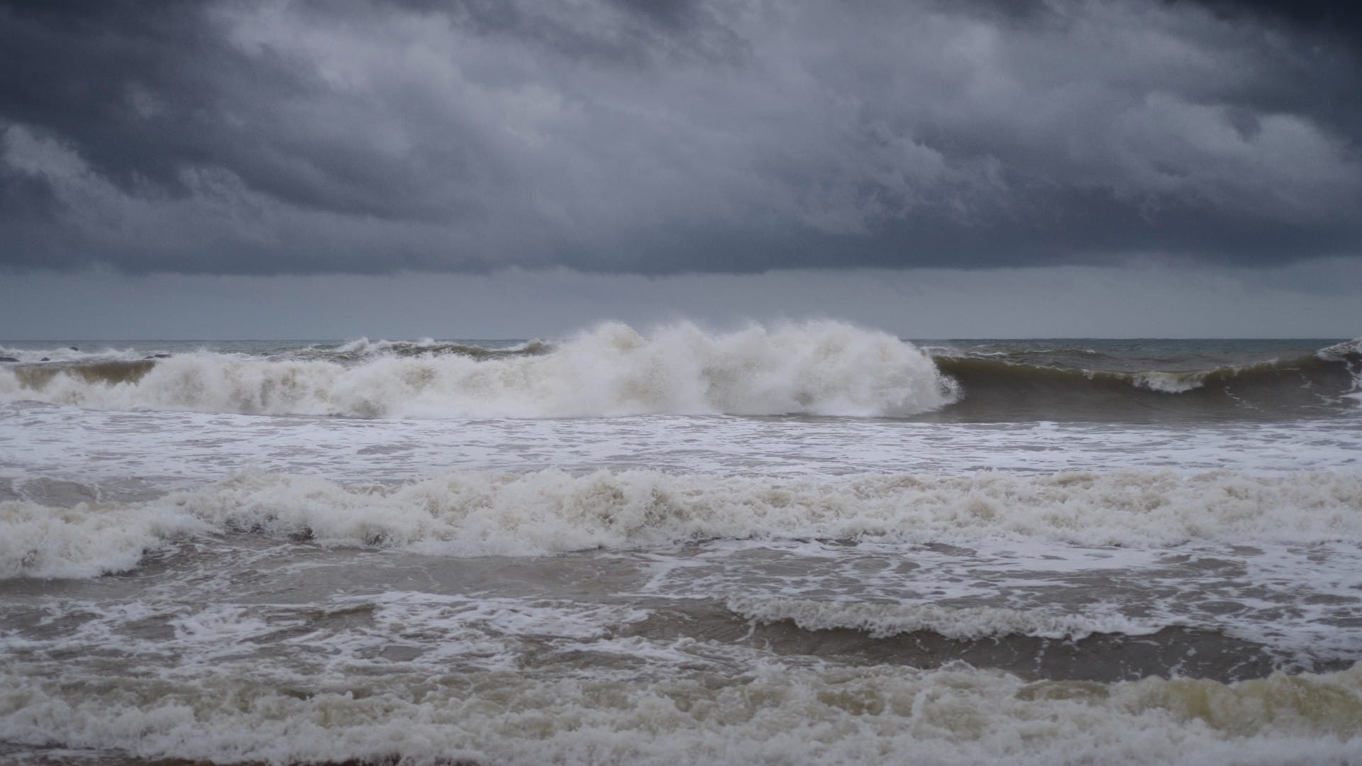Dead Marine Organisms May Cause Major Earthquake in Sea Found in New Discovery