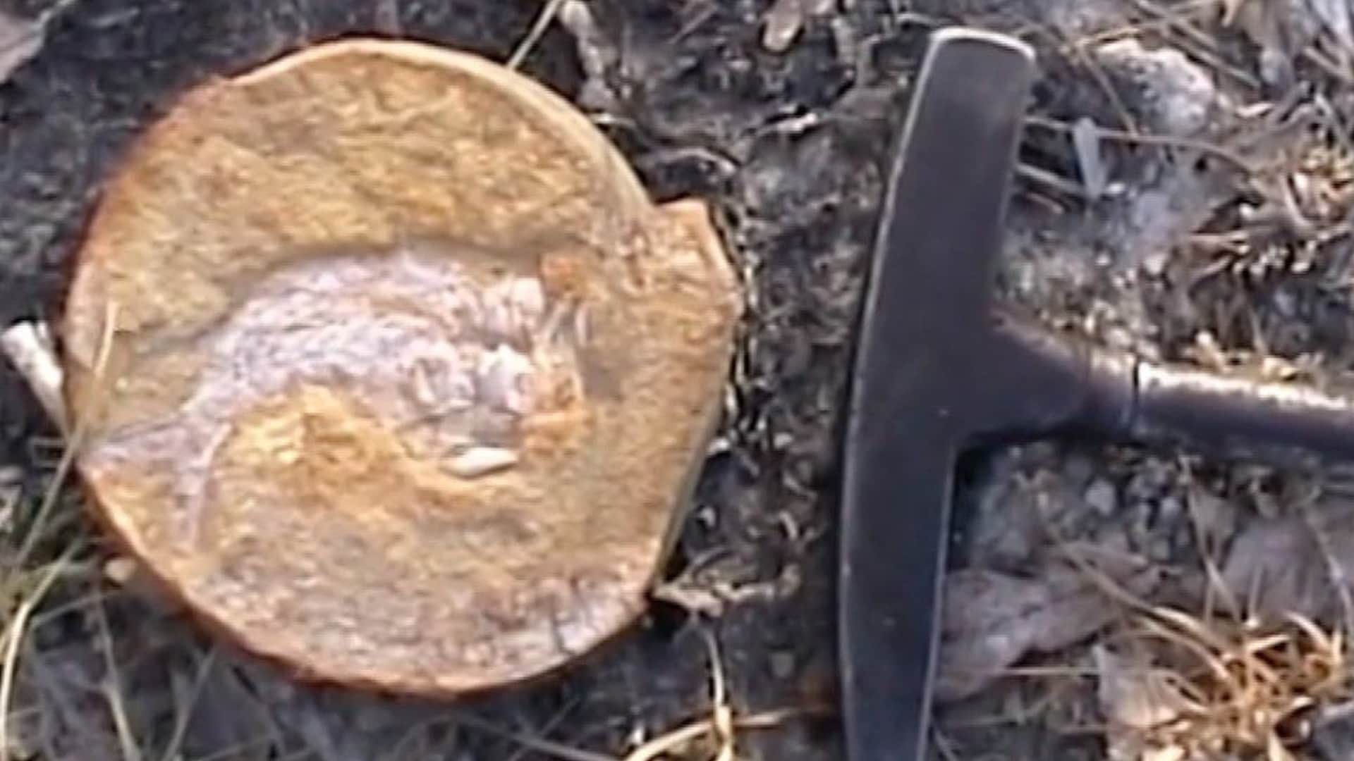 Oldest Heart: Scientists found world's oldest heart, know about the 380 million year old fossil