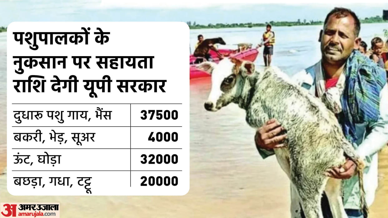 Government will give assistance even on loss caused to cattle farmers in Flood