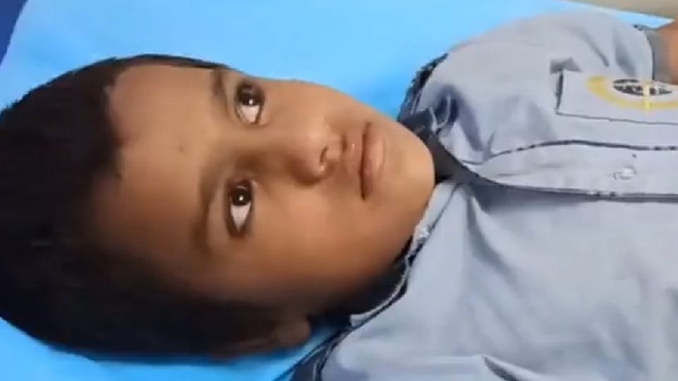 Beware Pitbull eyes on your innocent  child attacked in Ballabhgarh mother saved from clutches
