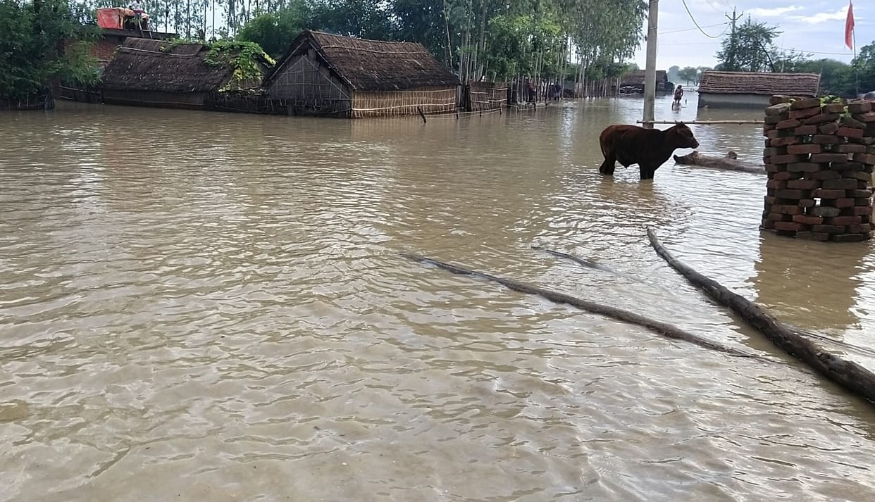 Water level reduced but problems remain