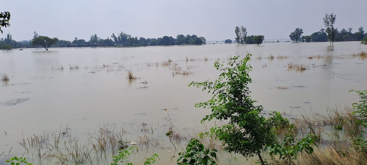 The speed of Ghaghra stopped, but the problems of the flood victims continue