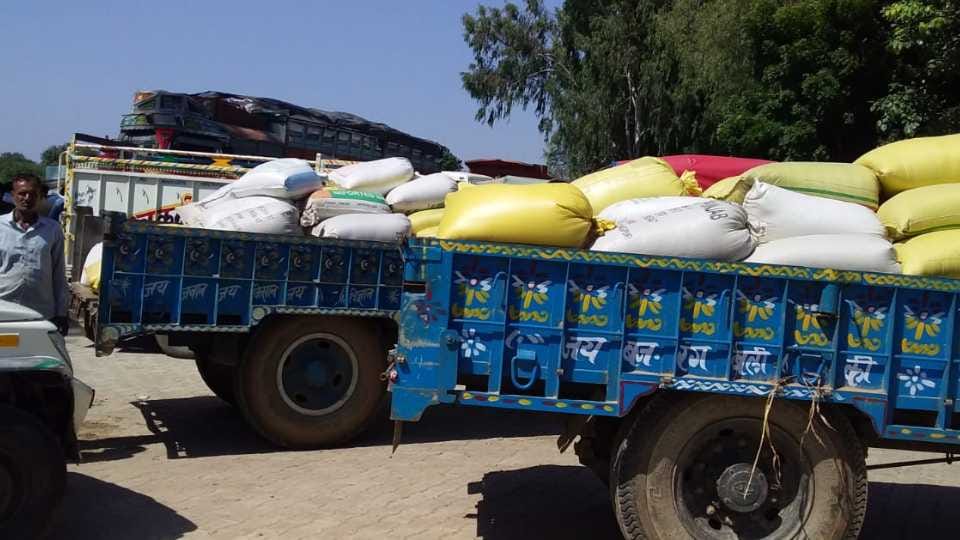 Government procurement of millet stopped in many districts of Haryana