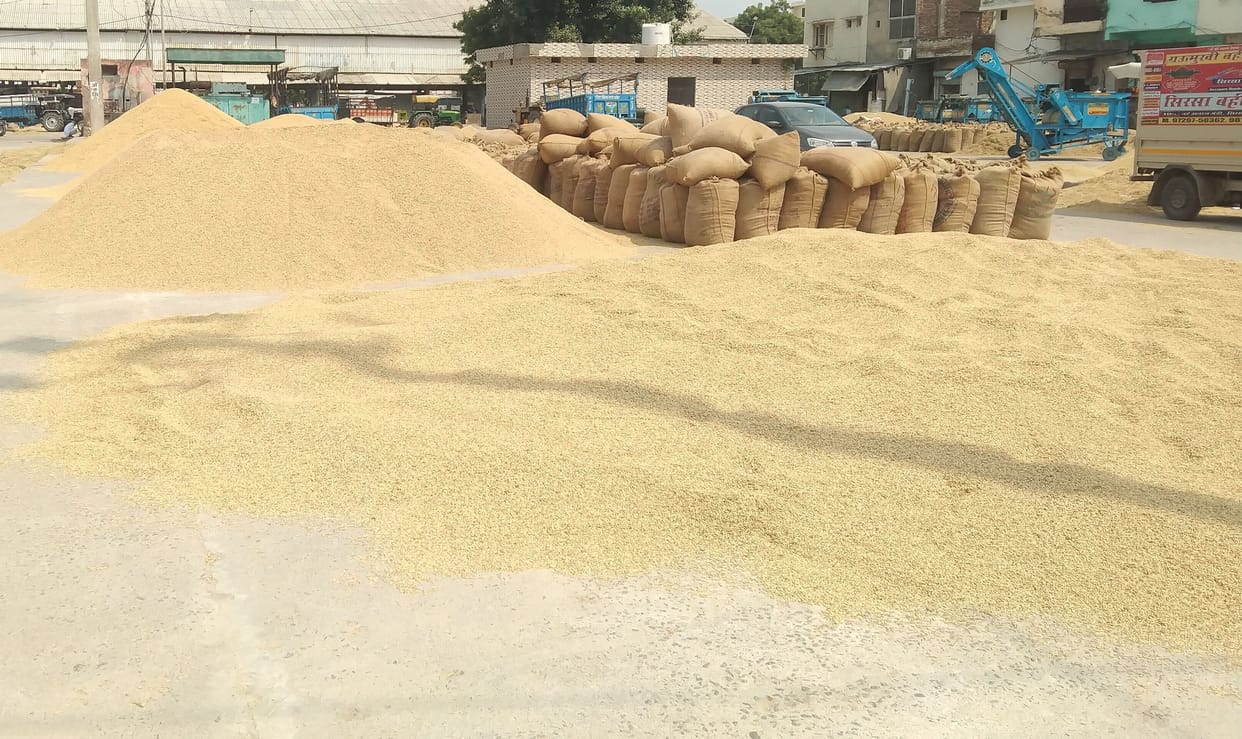 1,42,000 MT paddy procured from 8,374 farmers