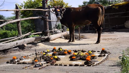 Deepawali 2022 Know why Annakoot and Govardhan Puja will be held on 26 October?