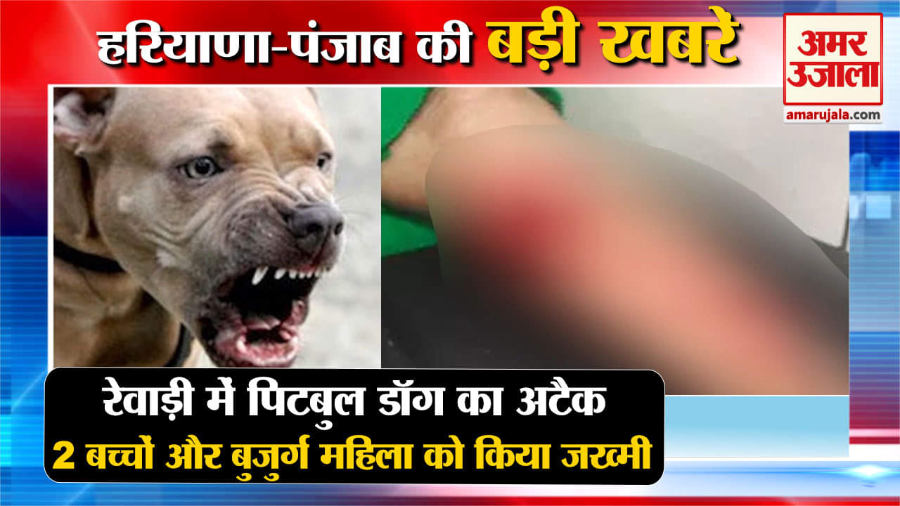 हरियाणा न्यूज