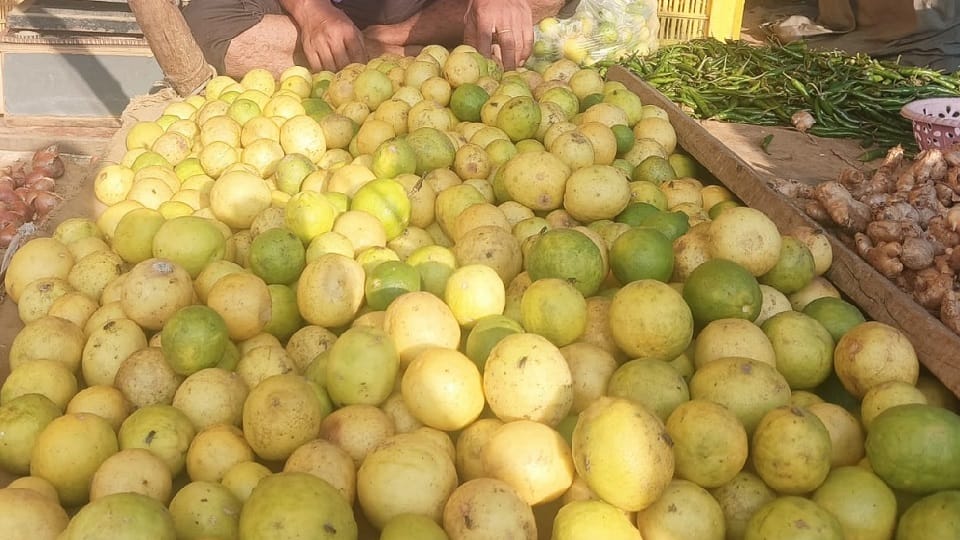 price of lemon in sabzi mandi Rs 200 per kg one for Rs 10 in local market