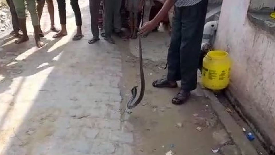 people kept awake all night under the watch of Nagin in etah