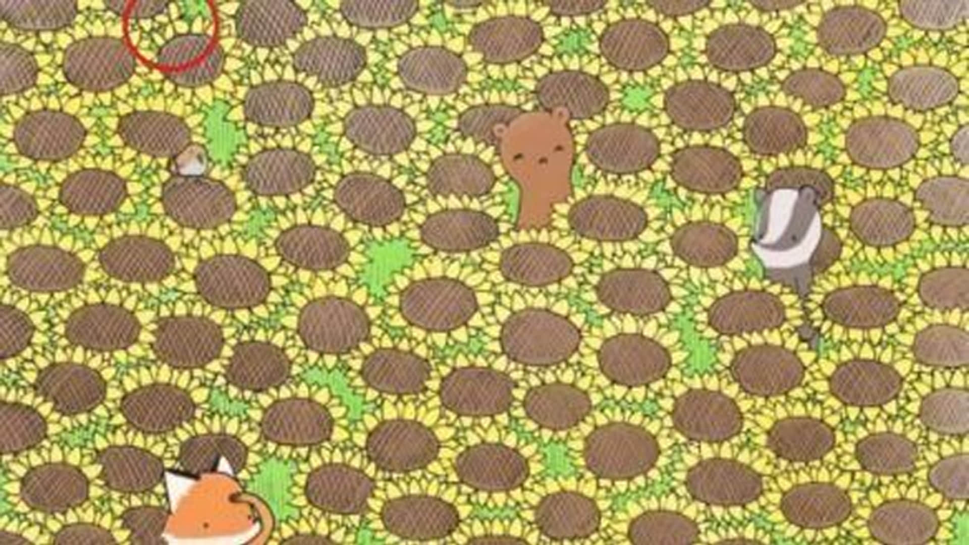 Viral Optical Illusion Photo: Find Out Hidden Butterfly from Illusion Image Check Your Brain IQ