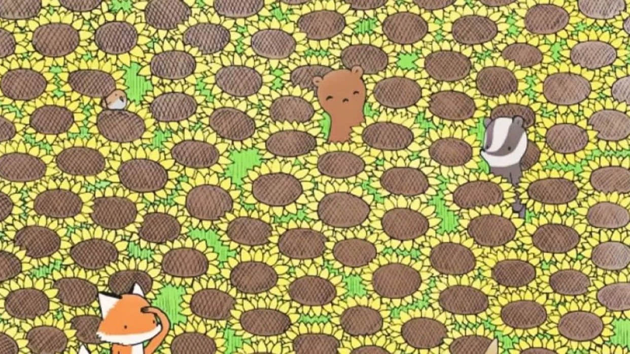 Viral Optical Illusion Photo: Find Out Hidden Butterfly from Illusion Image Check Your Brain IQ