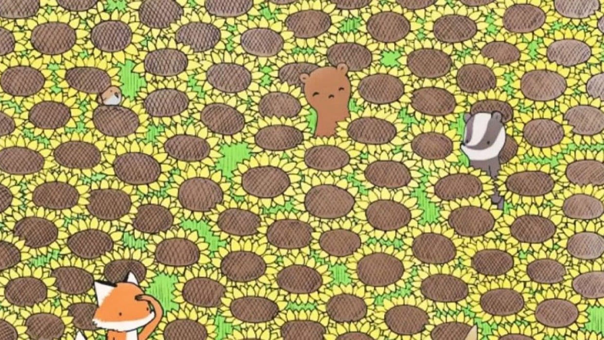 Viral Optical Illusion Photo: Find Out Hidden Butterfly from Illusion Image Check Your Brain IQ