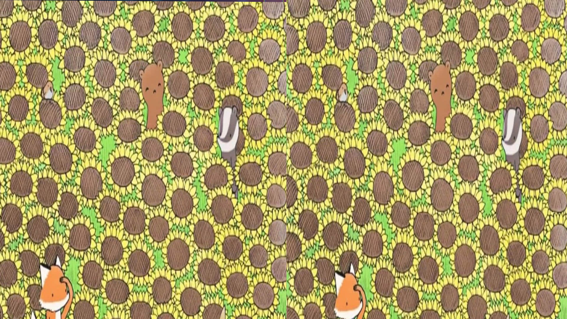 Viral Optical Illusion Photo: Find Out Hidden Butterfly from Illusion Image Check Your Brain IQ