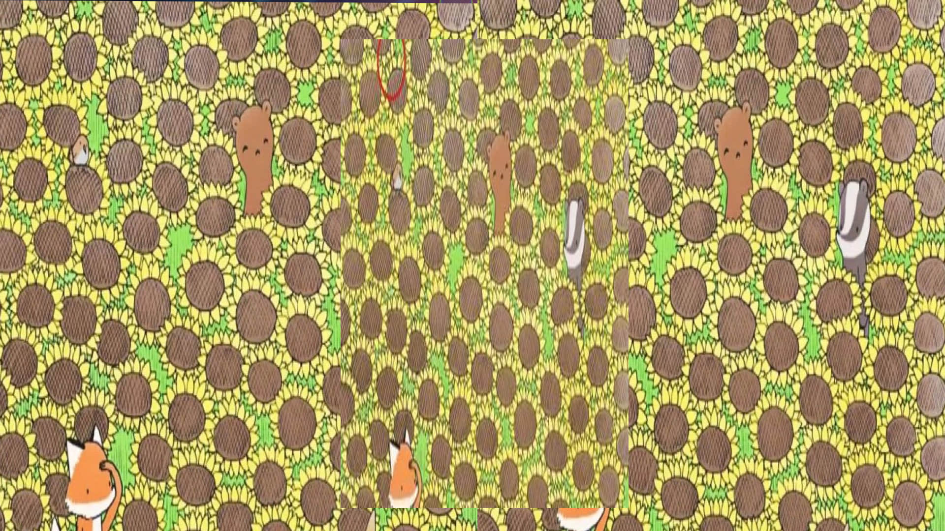 Viral Optical Illusion Photo: Find Out Hidden Butterfly from Illusion Image Check Your Brain IQ